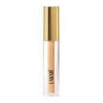 Lakme 9 To 5 Hya Matte Liquid Concealer